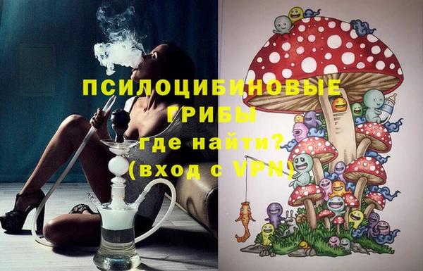spice Снежинск