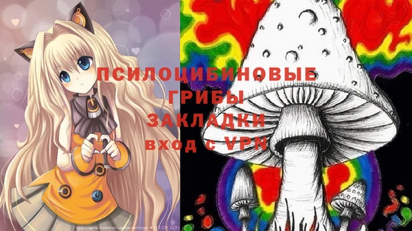 spice Снежинск