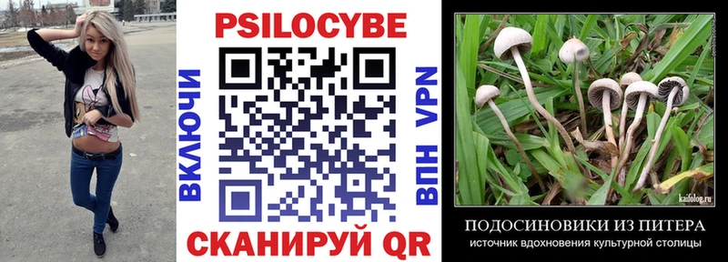 Купить закладки  Сибай  Галлюциногенные грибы Psilocybine cubensis 
